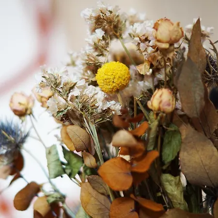 Monseigneur & Design Avec Parking 公寓 *