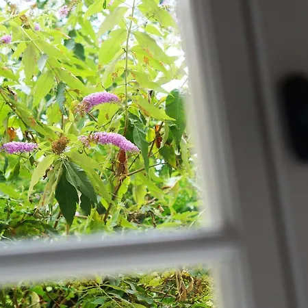 Monseigneur & Design Avec Parking 아파트